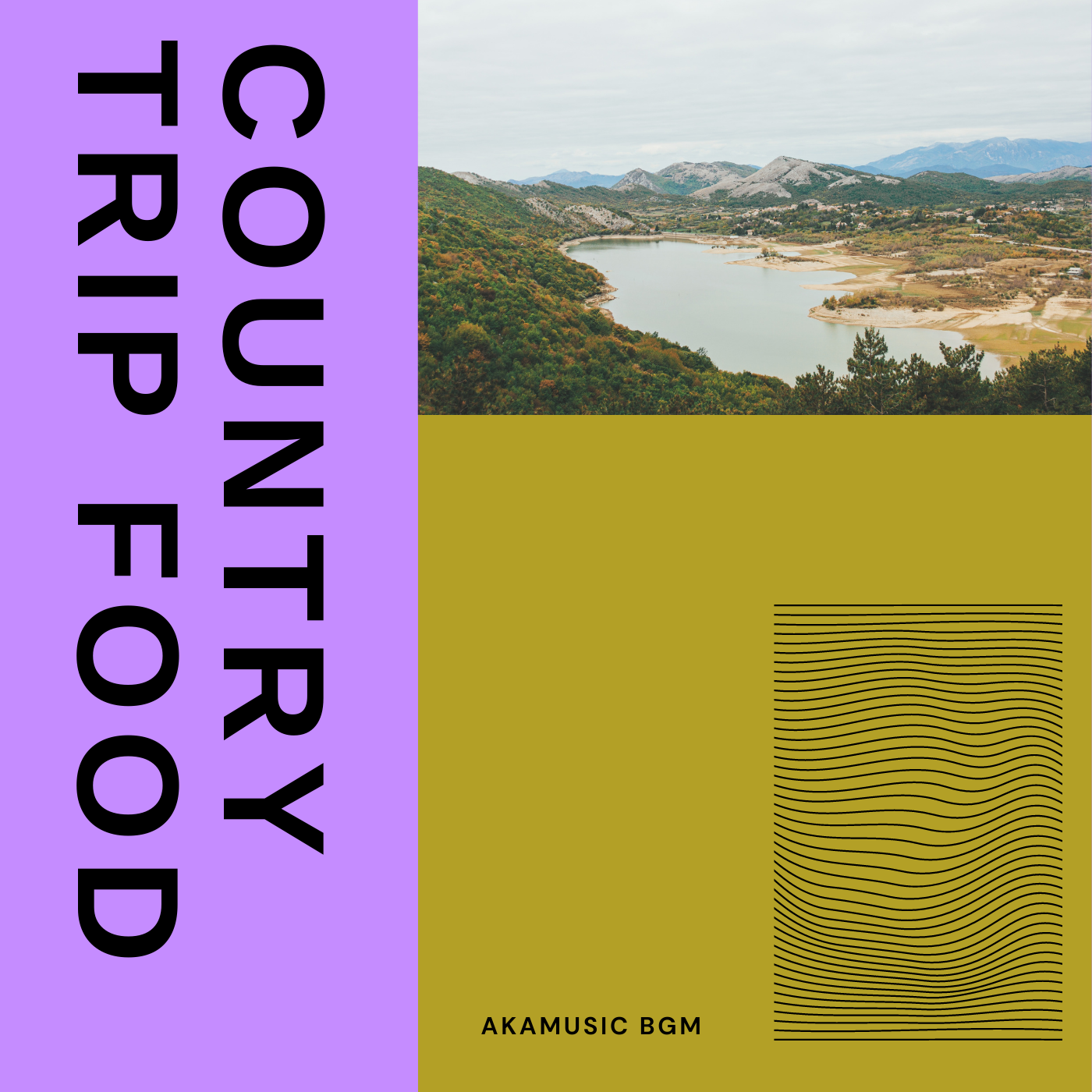 COUNTRY TRIP FOOD cover